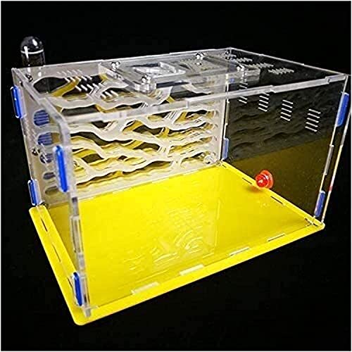 AY Hormigas de hormigas granja hormiguero hormiguero hormiga hormiga hormiga hormiga hormiga hormigas en vivo no incluyeron el montaje de bricolaje Hábitat Educativo y aprendizaje Kit de ciencia jugue