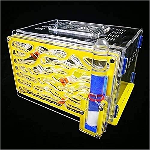 AY Hormigas de hormigas granja hormiguero hormiguero hormiga hormiga hormiga hormiga hormiga hormigas en vivo no incluyeron el montaje de bricolaje Hábitat Educativo y aprendizaje Kit de ciencia jugue