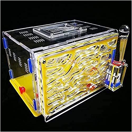 AY Hormigas de hormigas granja hormiguero hormiguero hormiga hormiga hormiga hormiga hormiga hormigas en vivo no incluyeron el montaje de bricolaje Hábitat Educativo y aprendizaje Kit de ciencia jugue