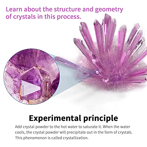 Bisofice Ciencia y Juego de Piedras Preciosas y Cristales, experimentos para niños 8 Años,Juego de Geologia con Minerales para Niños,regalos para niños de 8 años,Crecimiento de cristal