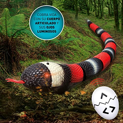 Discovery- Serpiente teledirigida, RC, Animal Realista, Juguete teledirigido, Kingsnake, 66 Cm de Largo, Altavoz Incorporado para sisear, Juguetes niño 6 años, B079T9XZX4