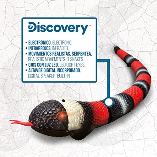 Discovery- Serpiente teledirigida, RC, Animal Realista, Juguete teledirigido, Kingsnake, 66 Cm de Largo, Altavoz Incorporado para sisear, Juguetes niño 6 años, B079T9XZX4