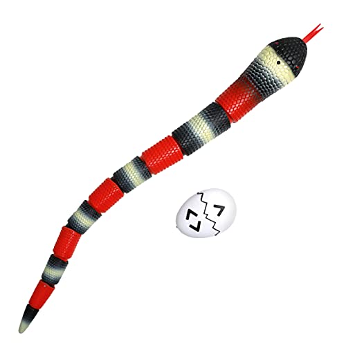 Discovery- Serpiente teledirigida, RC, Animal Realista, Juguete teledirigido, Kingsnake, 66 Cm de Largo, Altavoz Incorporado para sisear, Juguetes niño 6 años, B079T9XZX4