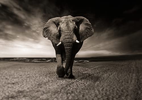 Lais Puzzle Elefante 1000 Piezas