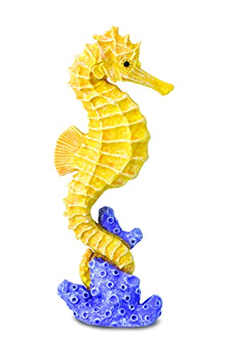 Safari- Caballito de mar Animales, Multicolor (S204329)