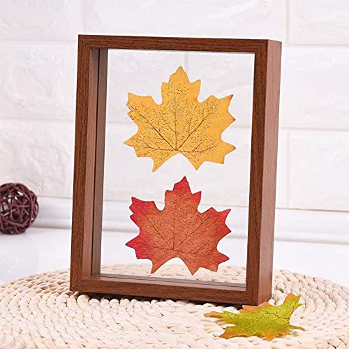 SDENSHI Decoración de de Soporte de Imagen de Marco de Foto de Muestra de Planta de Madera de Estilo Vintage - Castaño marrón, 10x13.5x4cm