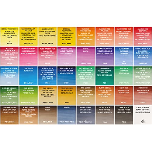 Winsor & Newton acuarela Cotman - Set de 45 medio godets de acuarela, colores surtidos