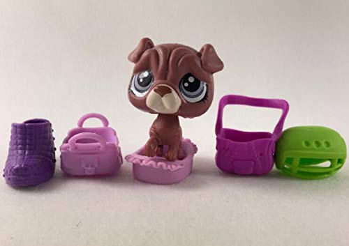 WooMax LPS 10 Piezas Littlest Pet Shop Juguetes Lindos Puestos Gato Perro Viejo Raro Original Figura Colecci¨®n Animal Gatito Collie Spaniel