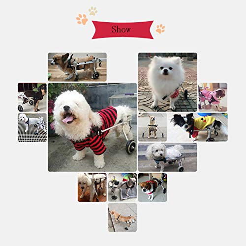 YSYW Silla De Ruedas para Perros Silla De Ruedas Ajustable para Perros Rehabilitación De Patas Traseras Peso Ligero (XXS XS S M),Onecolor*XXS