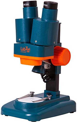 Levenhuk Microscopio Estereoscópico para Niños LabZZ M4 para Observar Monedas, Rocas, Insectos, Plantas y Otros Objetos