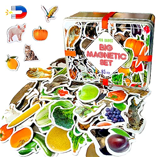 MAGDUM 85 Fotos Set Animales&Frutas&Verduras en Caja de Lata de Regalo-imanes de bebé Realistas-85 Grandes Juguetes de imán para 3 años-Juegos Educativo Aprender magnético para niños-Teatro Magnético