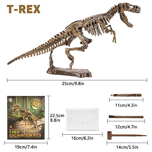 MUSCCCM Dinosaur Dig Kit Tiranosaurio, Dino Skeleton Fossil Excavation Kit Realistic Dinosaur Model Juguetes educativos Regalo para Niños Niñas