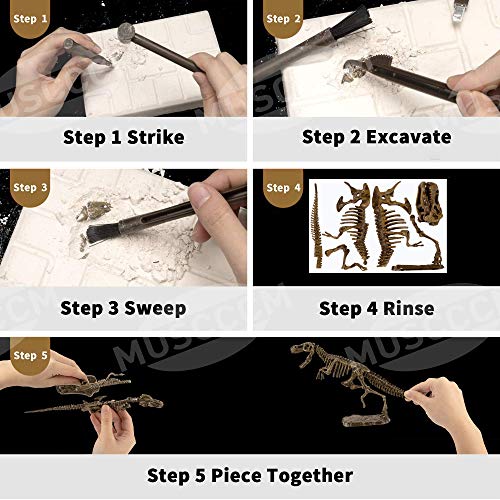 MUSCCCM Dinosaur Dig Kit Tiranosaurio, Dino Skeleton Fossil Excavation Kit Realistic Dinosaur Model Juguetes educativos Regalo para Niños Niñas