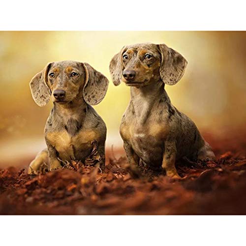 Rompecabezas - Dos Perros Mascota Perro Salchicha Manchado(1000 Piezas 75,5 x 50,5cm Rompecabezas de Madera Regalo de cumpleaños Arte de Rompecabezas Familiar