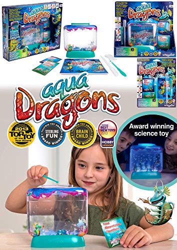 Aqua Dragons Eggspress Criaturas acuáticas vivas
