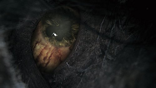 Bloodborne Game of The Year Edition