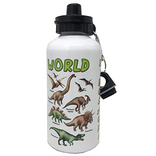 Botella de aluminio con mosquetón y cierre hermético, libre de sustancias nocivas – Capacidad 500 ml – Con dibujo simpático de dinosaurios (Mod. 2)