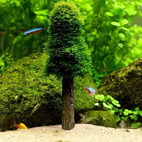 BUIDI simulación Musgo de Navidad árbol de Navidad Planta Crecer Acuario Tanque Paisaje decoración nuevos Suministros para Mascotas Pintura de Madera