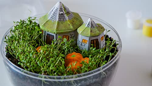 Clementoni Terrarium Harry Potter-Juego Educativo 7 años, Multicolor (19248)