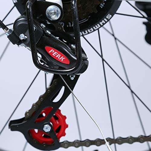 GAYBJ Nieve Bicicletas Doble Freno de Disco de Rueda Ancha de Bicicletas de montaña 26/24 Pulgadas Adulto Fat Tire Crucero de la Playa Fat Tire Bike Nieve de Bicicletas de montaña,A,24 Inch 24 Speed