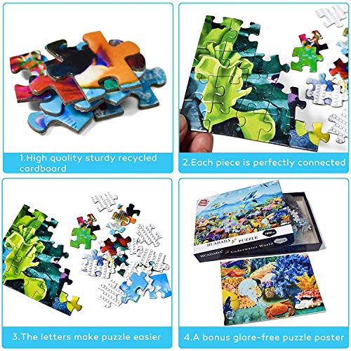 HUADADA Puzzle 1000 Piezas, Puzzle Adultos 70x50cm Coral Bay 1000 Piece Jigsaw Puzzles para Adultos