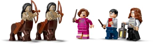 Lego – El bosque prohibido: el encuentro de sombra – Harry Potter – 75967