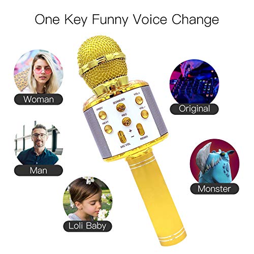 Micrófono inalámbrico Karaok, 4 en 1 máquina portátil de karaoke con altavoz portátil Bluetooth, reproductor KTV doméstico con función de grabación (GOLD)