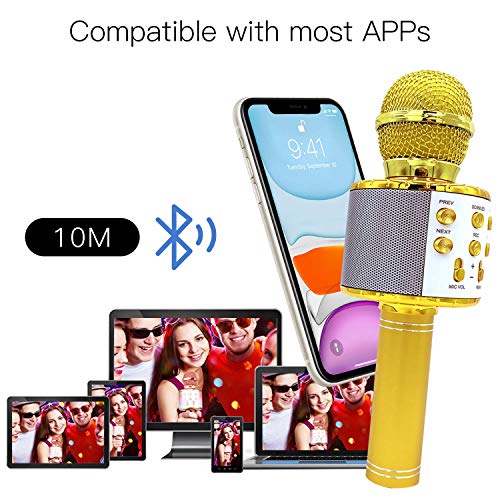 Micrófono inalámbrico Karaok, 4 en 1 máquina portátil de karaoke con altavoz portátil Bluetooth, reproductor KTV doméstico con función de grabación (GOLD)
