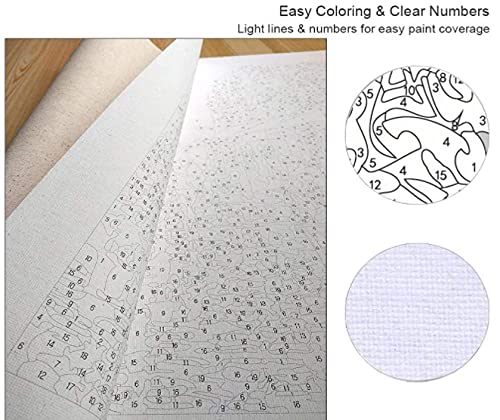 RSNBRY Pintar por Numeros Adultos Niños, DIY Pintura por Números con Pinceles y Pinturas Decoraciones para el Hogar Café de Viaje 40 X 50 cm (Sin Marco)