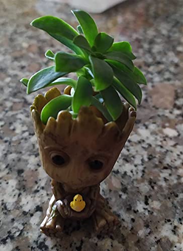 Super Dream Store Baby Groot - Mini nido, 5 x 3 x 3 cm, altura 5 cm, ancho 3 cm, figura de acción dulce regalo pequeño juguete, mini jarrón, amigo acuario