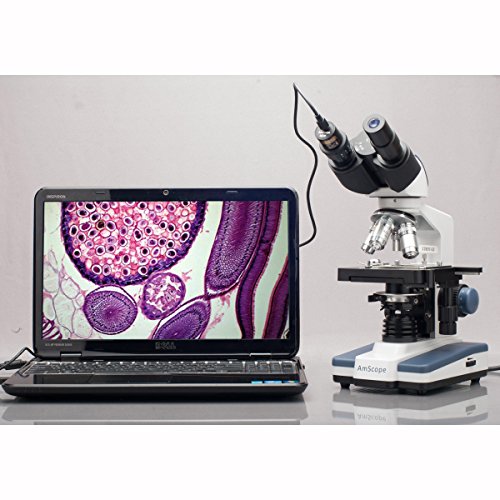AmScope – Cámara microscópica digital, 3.0 mega píxeles, USB, Foto y vídeo en directo