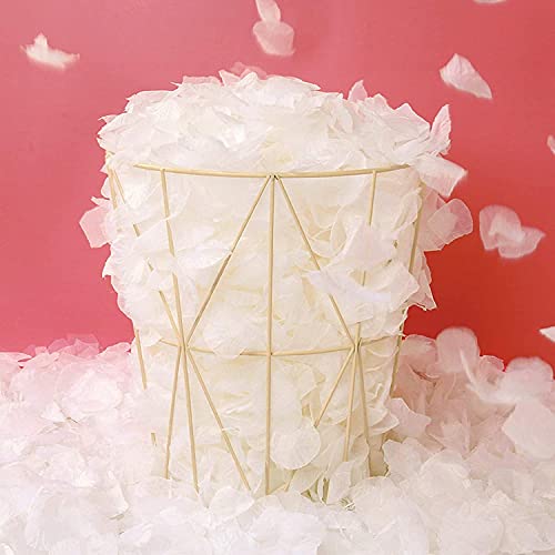 Anaoo 3000 Piezas Pétalos de Rosa Artificiales para Boda Decoración para el día de San Valentín, Proponer, Flores de Boda, Confeti, Dispersión de Mesa, Color Crema