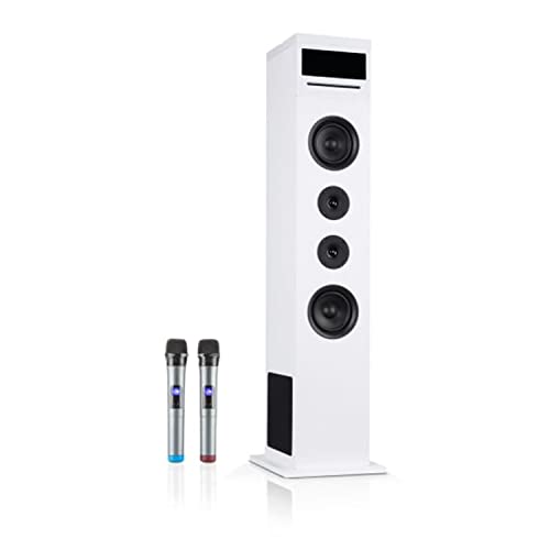Auna Karaboom 100 Sing - Torre de Karaoke, Altavoz Karaoke 2 microfonos inalámbricos, Vertical de Torre, Bluetooth, USB 2 en 1, Entrada AUX, Reproductor de CD, 120W, Blanco