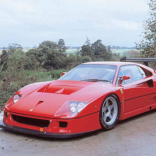 Bburago Ferrari F40 Competizione Ferrari Evolution Race & Play