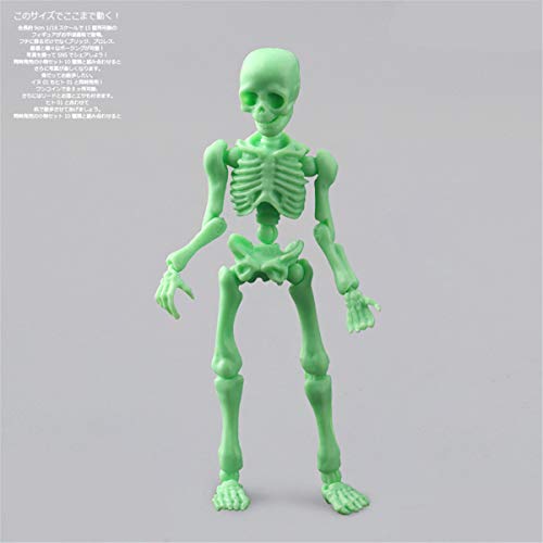 BMBN Bones, Movable Mr.Bones Esqueleto Modelo Humano Cráneo Cuerpo Completo Mini Figura de Juguete Halloween