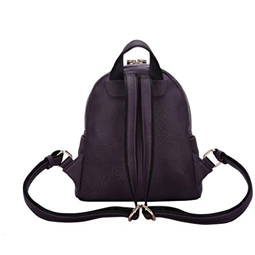 Claudia Canova - Small Backpack With Front Pocket, Mochilas Mujer, Morado (Purple-Crm), 240x250x120 cm (W x H L)