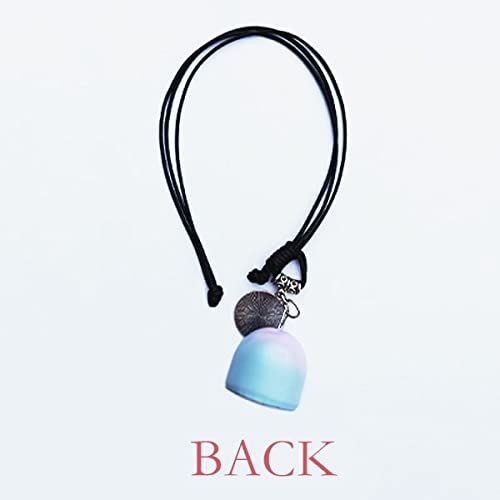 comp Colgante de coche con campanilla de viento para niños con texto "Got It From My Papa Children Padre Presente"