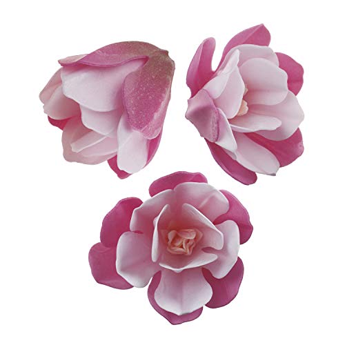 Dekora-6 Magnolias Comestible Decoración de Tartas de Cumpleaños Caseras Fácil para Obtener un Pastel con Flores-de Color Rosa de 6,5-7 cm, (126150)