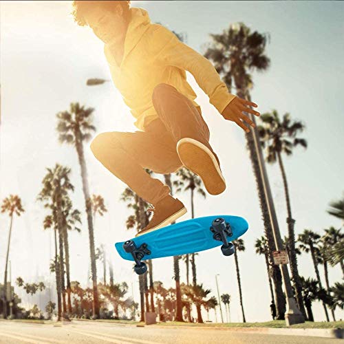 FMXYMC Mini patineta, Tabla de Crucero Penny Cruiser de 22", Tablas de Skate para Principiantes, Tabla Antideslizante para Tablas pequeñas al Aire Libre Sport Street,Púrpura