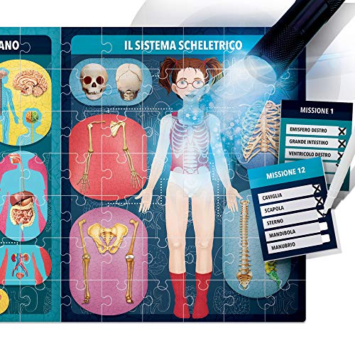 Headu - El Cuerpo Humano de Rayos X, IT21543.