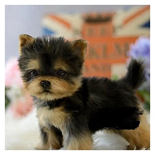 Juguetes de Peluche Realista Yorkshire Terrier Simulación Juguete Lindo Perro Peluche Pet Mano Hecho a Mano Juguete Cachorro Realista Zzib (Color : Schwarz)