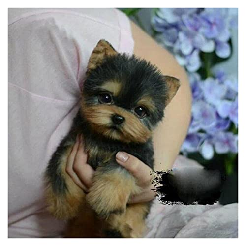 Juguetes de Peluche Realista Yorkshire Terrier Simulación Juguete Lindo Perro Peluche Pet Mano Hecho a Mano Juguete Cachorro Realista Zzib (Color : Schwarz)