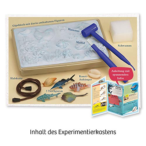KOSMOS- Experimentierset Caja de experimentos, Color Teal/Turquoise Green (658038)