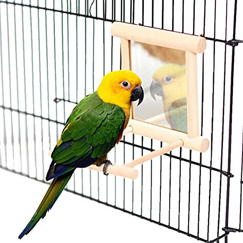 Loro Soporte con el Espejo, Natural de Las Aves Las Perchas de Madera, Metal Gancho Loro oscilación zcaqtajro