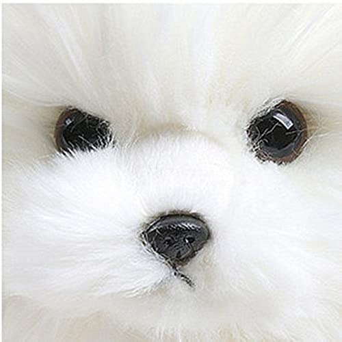 Peluche, Doll Doll Long Llush Pomeranian Bichon Frise Poodle Perros Peluche Juguete Lindo Simulación Mascotas Muñeca Divertida (Color : White)