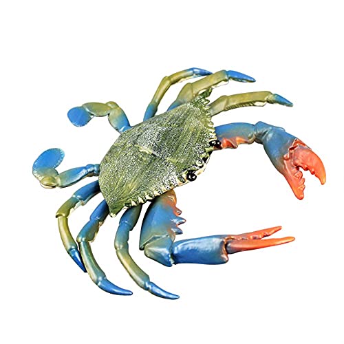Pressure Figuras de Animales de Vida marítimo simulados Modelo de Animales del océano de plástico Realista, niños Juguete Realista Cangrejo natación Cangrejo (Color : Green+Blue)