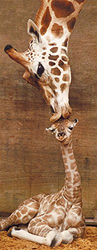 Ravensburger Puzzle, Puzzles 1000 Piezas, Jirafas, Animal Puzzle, Puzzles para Adultos, Puzzle Panorama, Puzzle Ravensburger