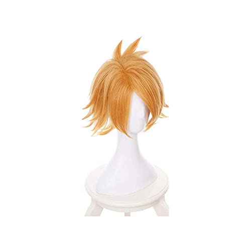Seupeak Aplicar a Mina Ashido con Cuerno CHINK CHINK Anime BOKU NO Hero MY Hero Academia Cosplay Corte Rizado (Color : Denki Kaminari, Size : One Size)