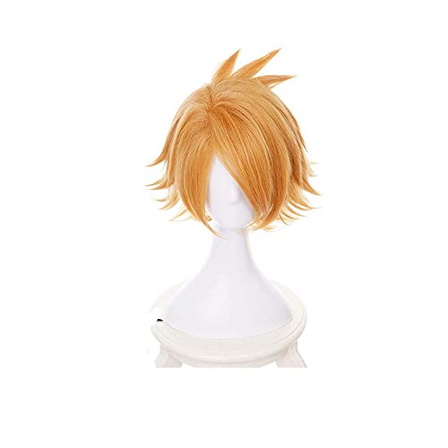 Seupeak Aplicar a Mina Ashido con Cuerno CHINK CHINK Anime BOKU NO Hero MY Hero Academia Cosplay Corte Rizado (Color : Denki Kaminari, Size : One Size)