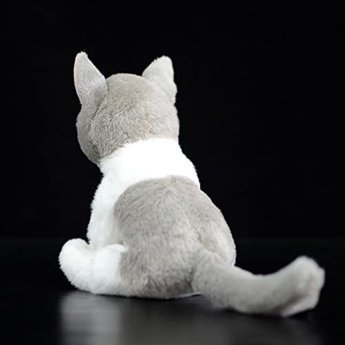 WJCRYPD Realista Lindo Gris Y Gato Gatito Gatito Peluche Peluche Juguete Lindo Simulación Real Muñeca Animal Linda muñeca de Peluche Qf Shop (Color : Grey White, Height : 14cm)